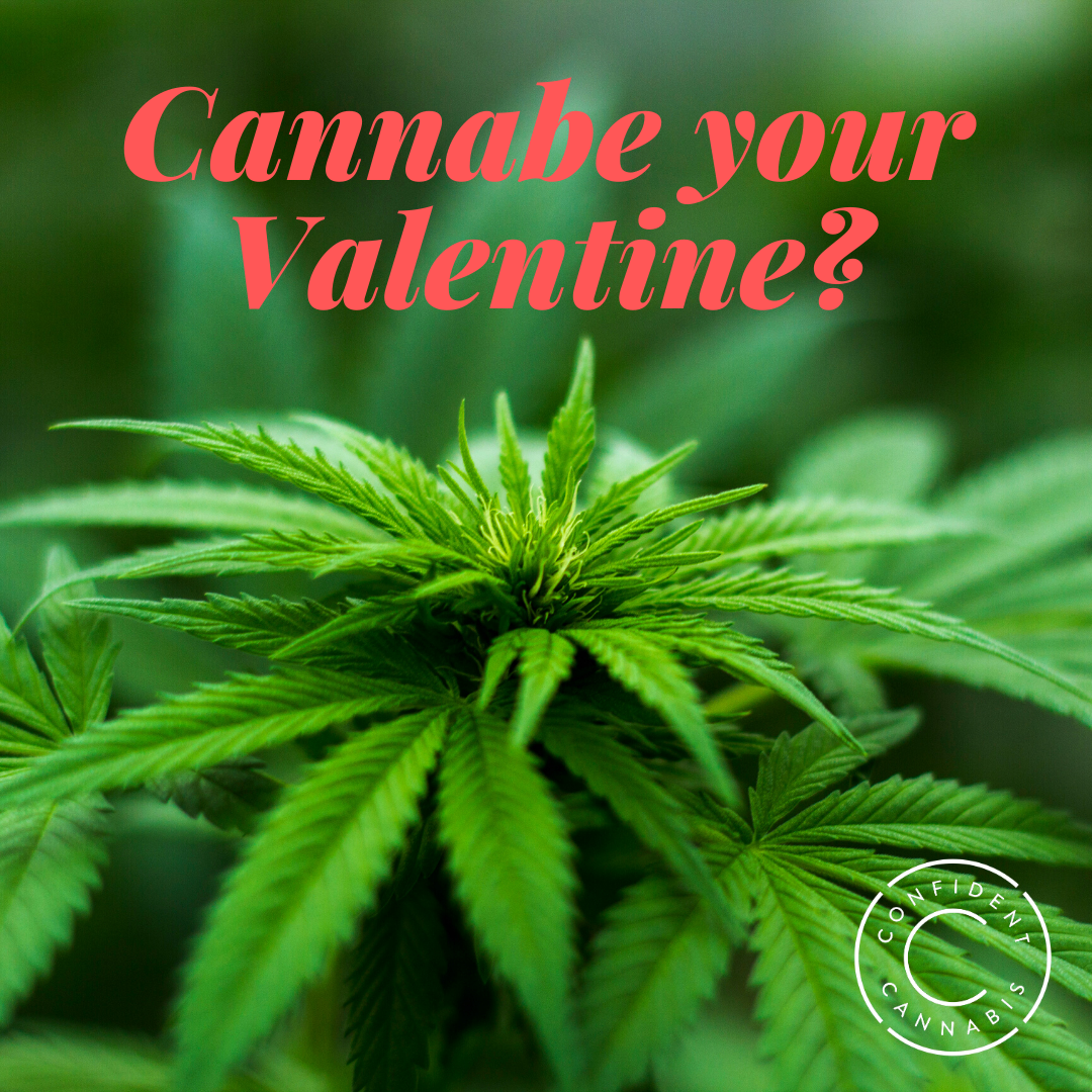 Cannabe Your Valentine Confident Cannabisconfident Cannabis