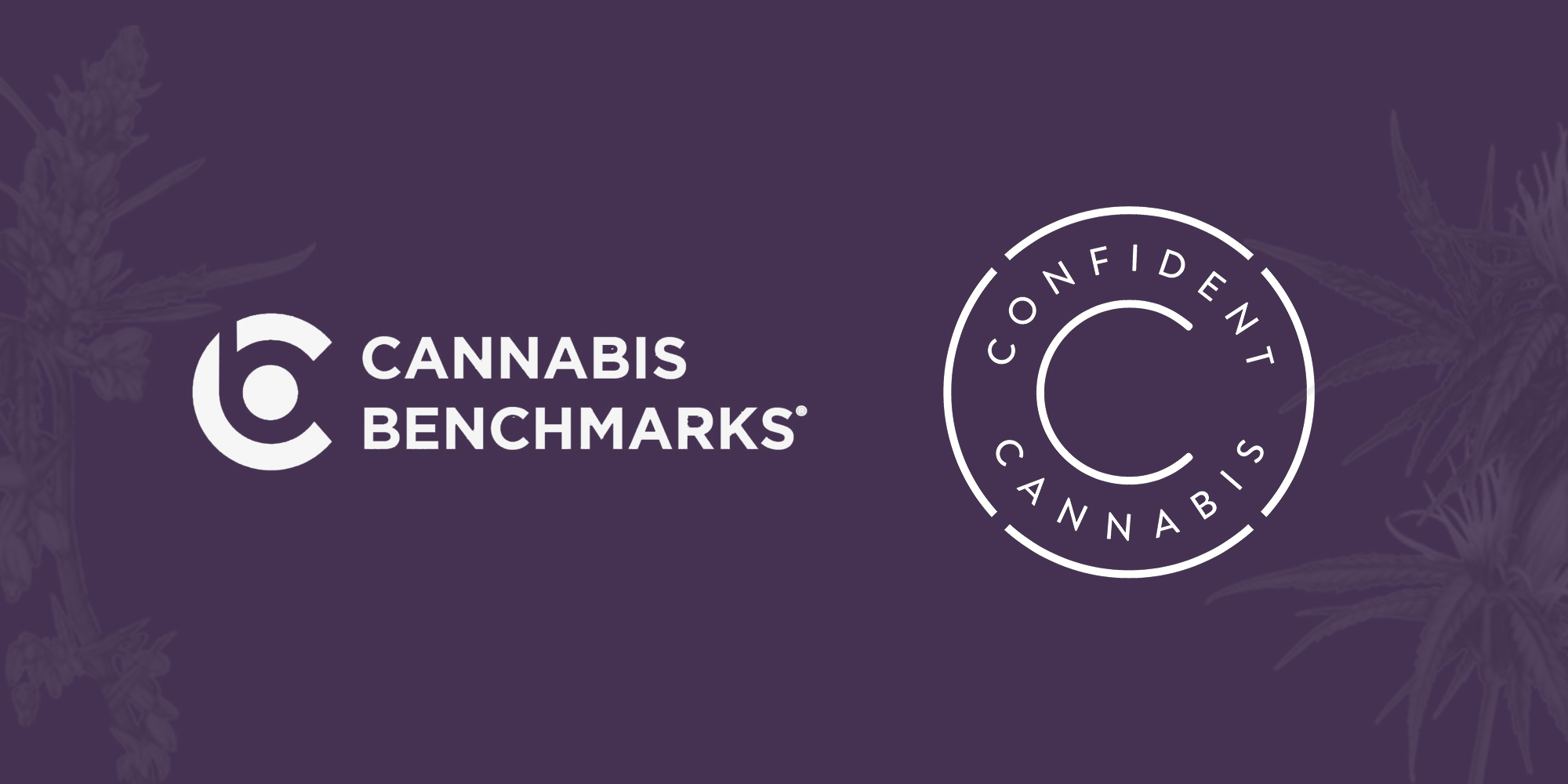 Cannabis benchmarks, confident cannabis, weekly report