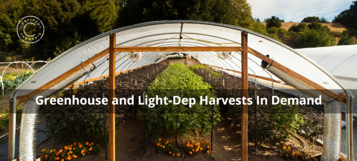 greenhouse and light dep