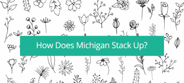how does michigan stack up