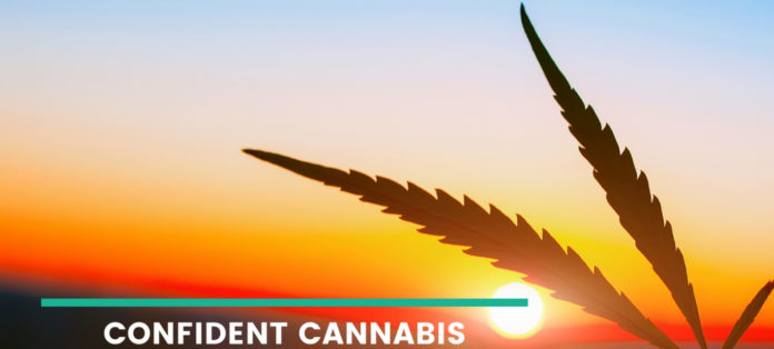 Confident Cannabis 2019 Market Report