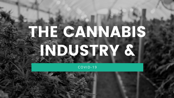 Covid-19 and the Cannabis Industry