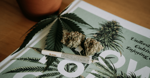 How to Survive and Compete Amongst Oversupply in the Cannabis Marketplace