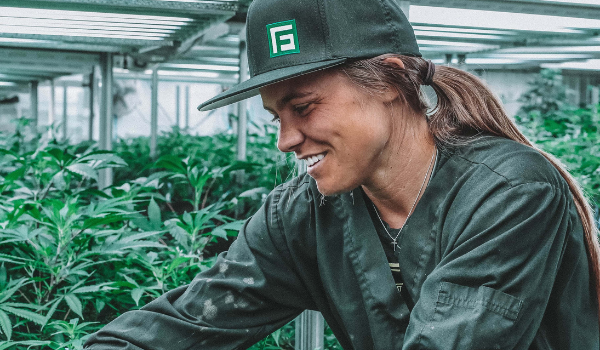 How to Find Balance As a Cannabis Sidepreneur